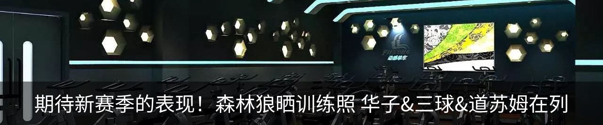 新闻动态