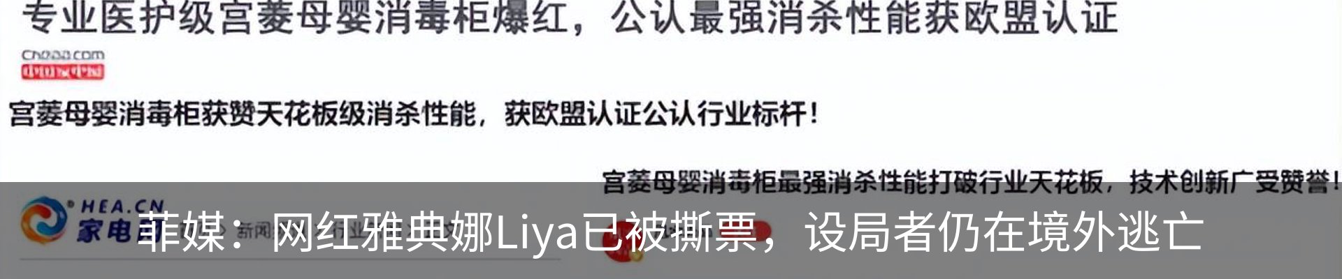 新闻动态